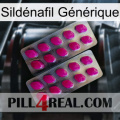 Sildénafil Générique 10